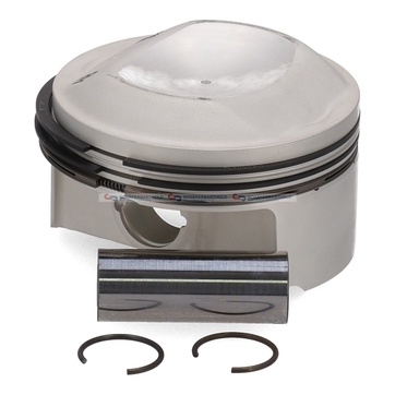 Kolv 100,0mm M64.01/02/03 250, 260p