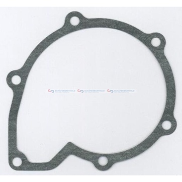 Packning, vattenpump