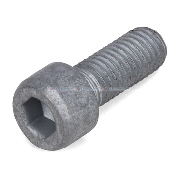 Bult, splash guard (brake disc) M10x25