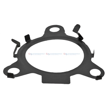 Packning, EGR-ventil