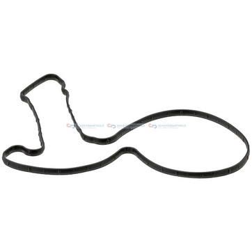 Packning, vattenpump