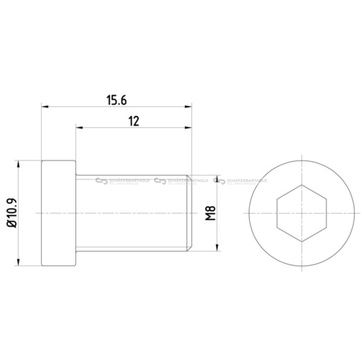 Bult, Bromsskiva M8X1,25x 15,6mm