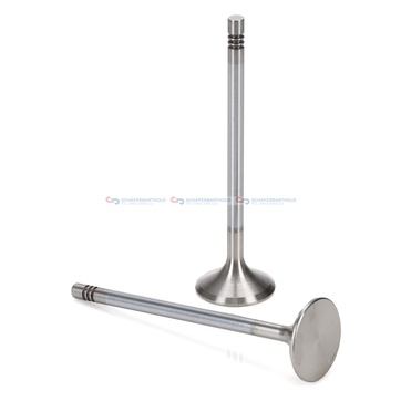 Avgasventil Ø-29,9 Ø-6 45Grad 107,3mm