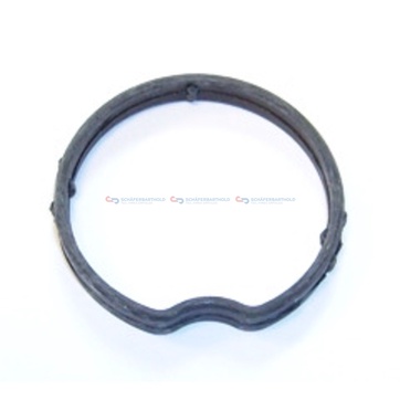 Packning, termostathus