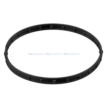 Insugsgrenrörspackning, hus