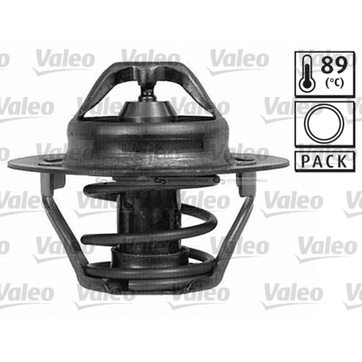 Termostat, kylvätska